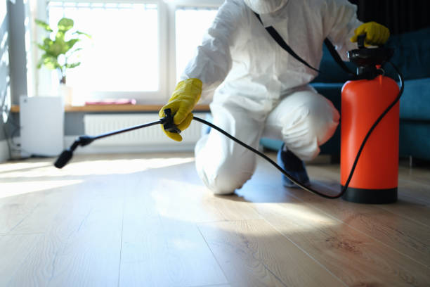Reliable Blood Cleanup contractor in Temple Hills, MD by Trauma Clean Pros